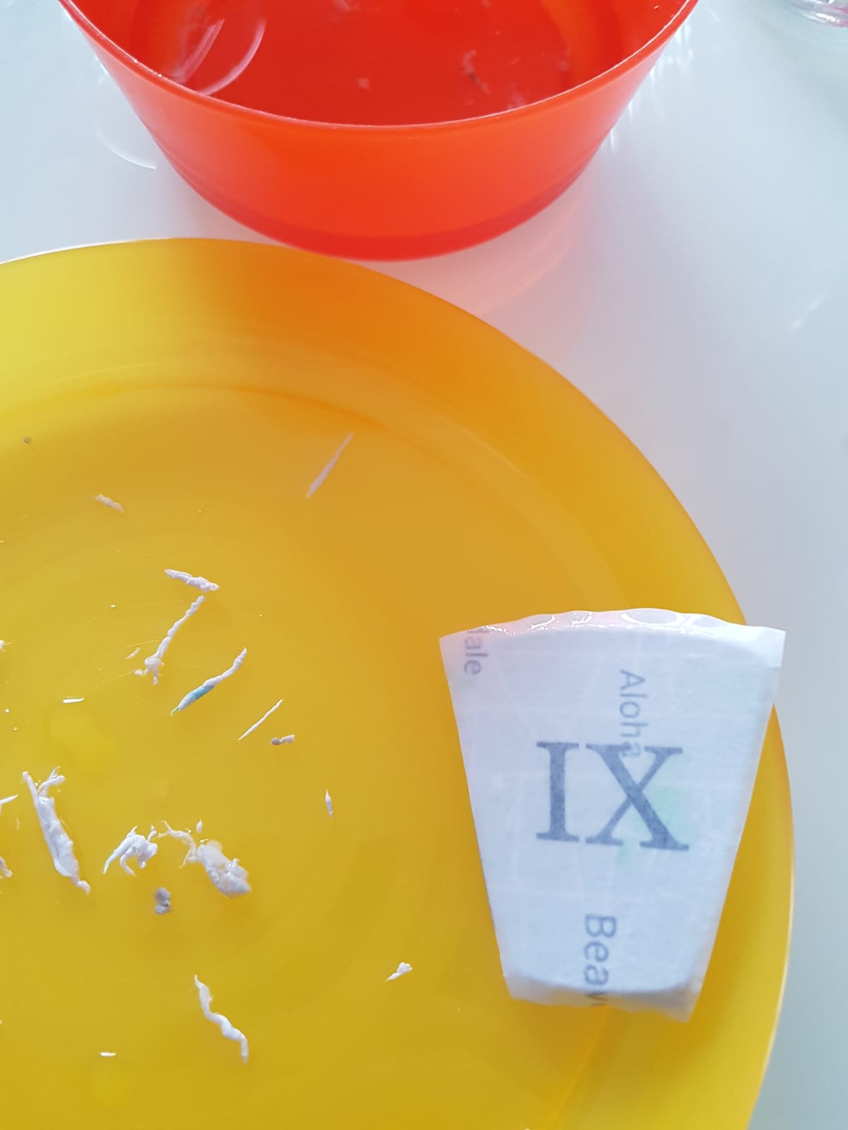 foto transfer potch im praxistest