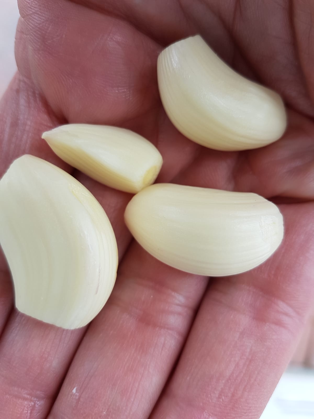 Ungeziefer an Tomatenpflanzen? Umweltfreundliche Hausmittel helfen. Ganz ohne Gift und Chemie. Bio-Tomaten