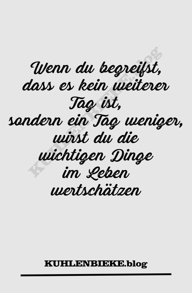 Wenn du begreifst, dass es kein weiterer Tag ist, sondern ein Tag weniger, wirst du die wichtigen Dinge im Leben wertschätzen. Lebensweisheiten