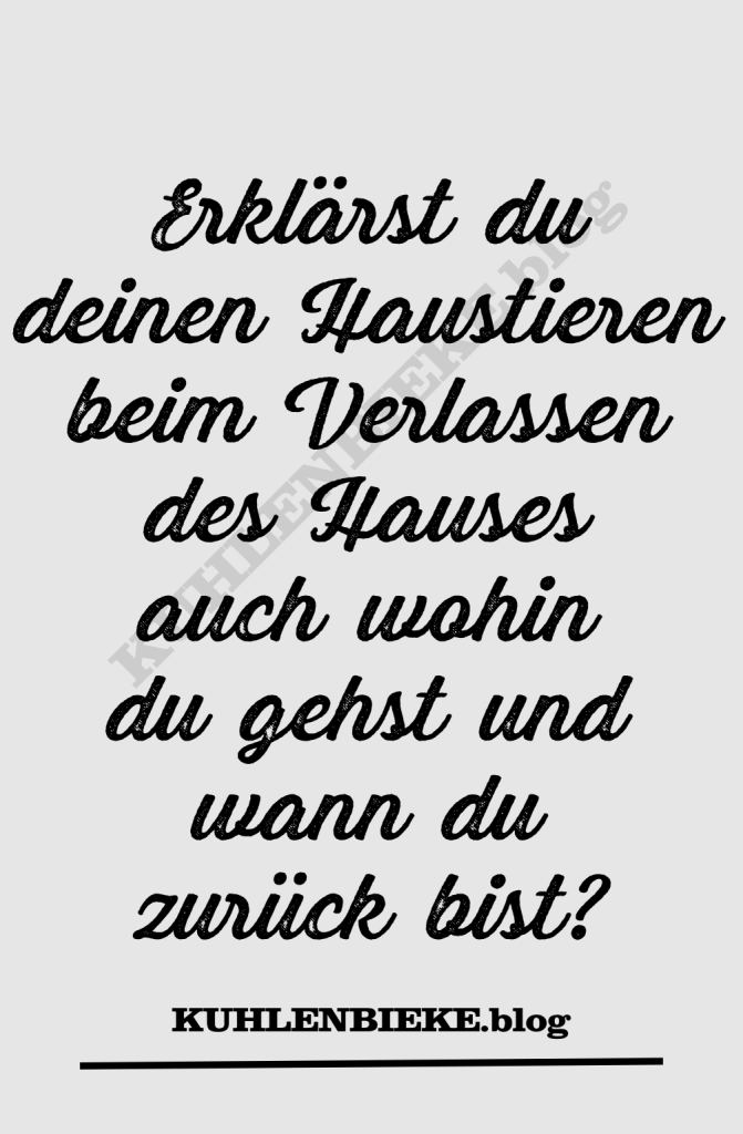 Erklärst du deinen Haustieren beim Verlassen des Hauses auch wohin du gehst und wann du zurück bist?