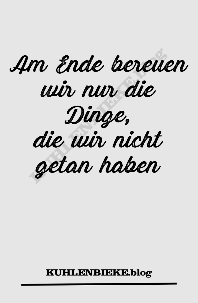 Am Ende bereuen wir nur die Dinge, die wir nicht getan haben. yolo bereue nichts immer weiter