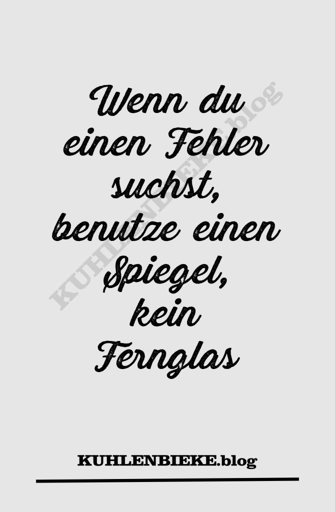 Wenn du einen Fehler suchst, benutze einen Spiegel, kein Fernglas