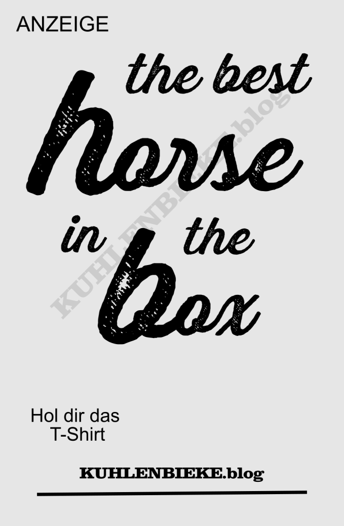 premium denglisch: das beste Pferd im Stall - the best horse in the box - T-Shirt